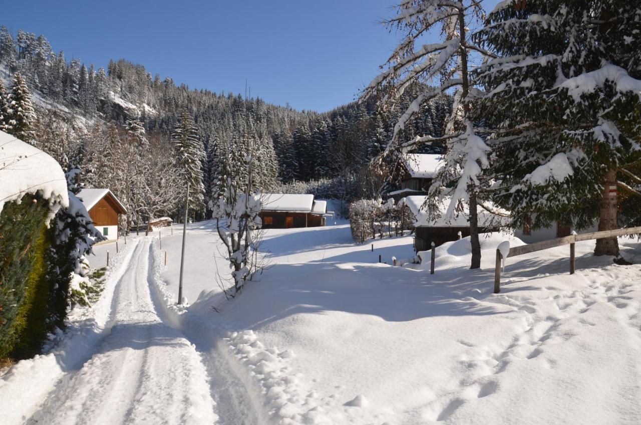 Kreiers Alp Apartment Hohenems Luaran gambar