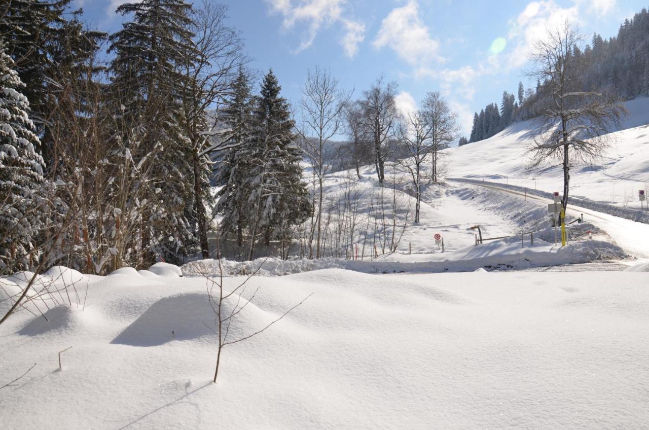 Kreiers Alp Apartment Hohenems Luaran gambar