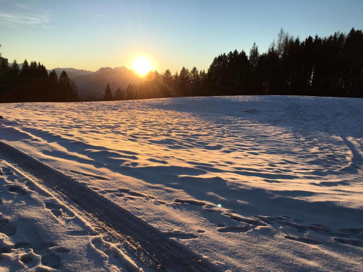 Kreiers Alp Apartment Hohenems Luaran gambar